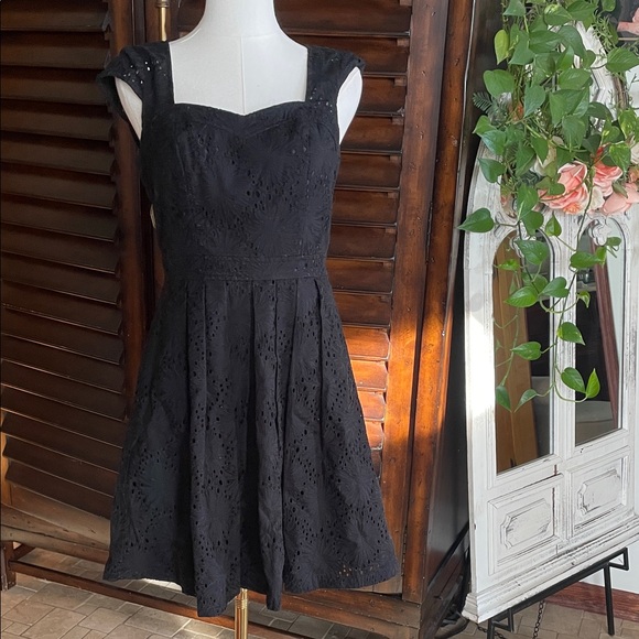 Adrianna Papell Elegant Black Eyelet Dress Lined NWOT Size 4 Fit and Flare - Picture 2 of 10